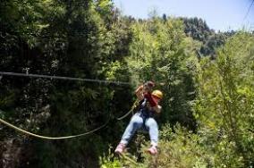 Canopy