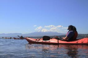 Kayak