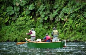 Pesca