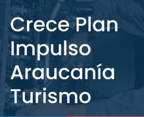 Plan Crece Impulso Araucanía