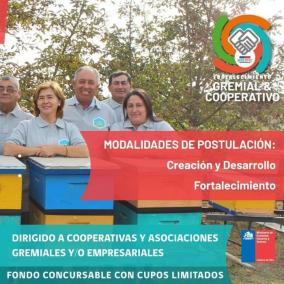 Fortalecimiento Gremial y Cooperativo SERCOTEC