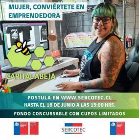 ¡Último plazo para postular al Capital Abeja!