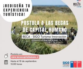 #SigoInnovación