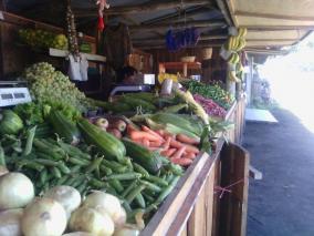 Feria Sausalito